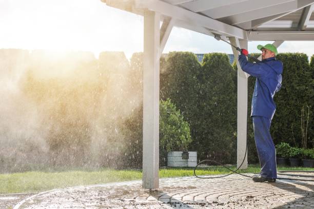 Best Dumpster Area Cleaning  in Amityville, NY